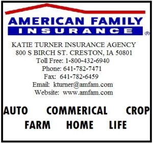 AmericanFamilyInsAd2015