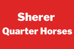 Sherer Quarter Horses