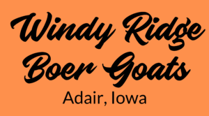 Windy Ridge Boer Goats