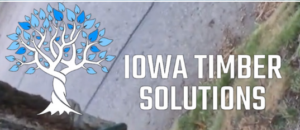 Iowa Timber Solutions